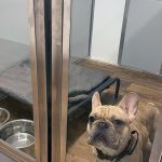 Fort Simpson Kennels. The Home Away From Home for Your Dog in Fort Simpson Northwest Territories