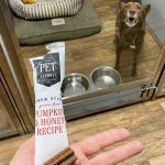 Fort Simpson Kennels. The Home Away From Home for Your Dog in Fort Simpson Northwest Territories